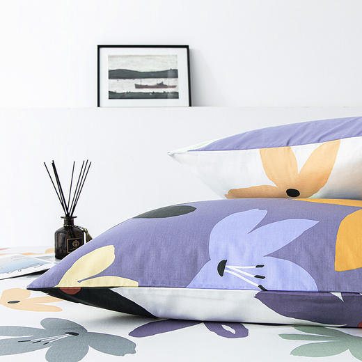 梦洁美颂 磨绒印花四件套 恋青春 商品图1