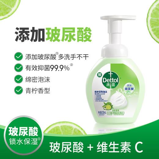 滴露泡沫抑菌洗手液青柠香型250ml 商品图4