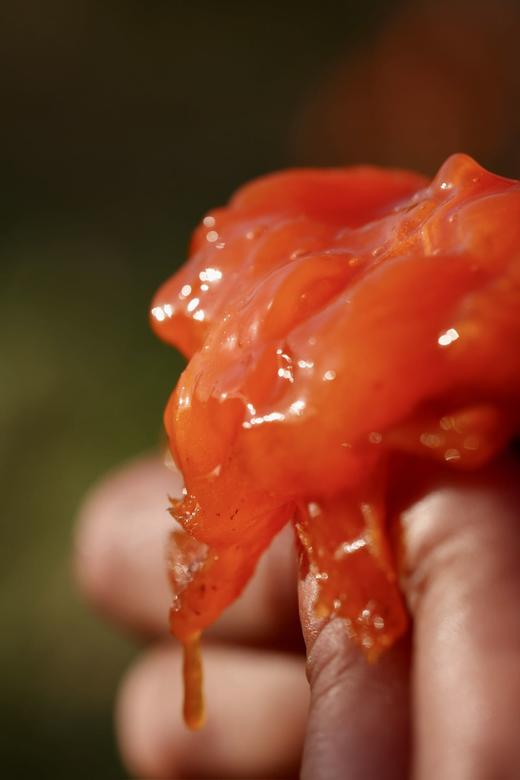 富平流心冰柿 商品图7