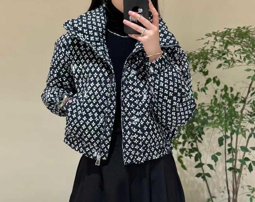 SZ6R18_绀蝶色_羽绒服_冬季_大翻领短款宽松面包服_高级女装_BERNIEELEN 伯妮斯茵 商品图0