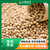 生态黄豆 | 老品种 | 公平贸易 * Eco-friendly Soybeans 商品缩略图0