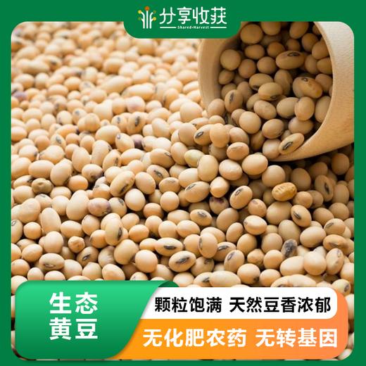 生态黄豆 | 老品种 | 公平贸易 * Eco-friendly Soybeans 商品图0