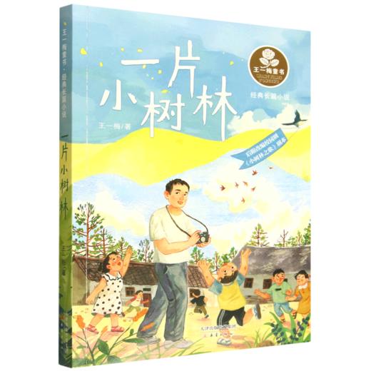 一片小树林 商品图0