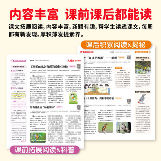 学习周报大语文趣读画报 期刊杂志人教版单元练习册配套教材同步扩展阅读一二三四五六年级上册小学生语文知识点大全每日一练【悦刊图书】 商品图2