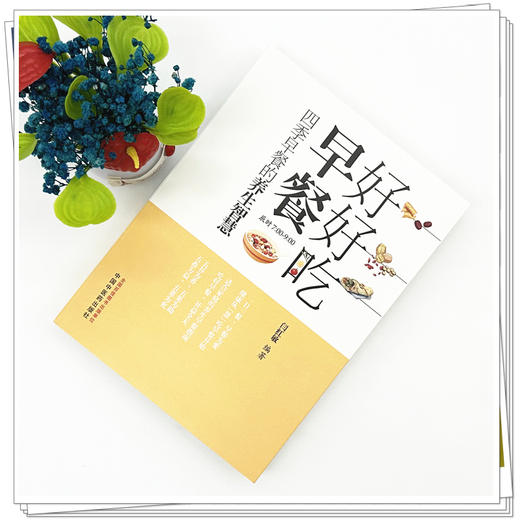 好好吃早餐:四季早餐的养生智慧 闫红敏 编著 中国中医药出版社 食疗 药膳 药食同源 家庭厨房 菜谱 书籍 商品图1