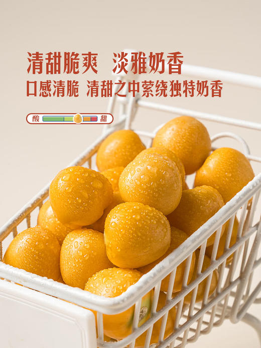 MM 山姆 菇娘果 500g 商品图2