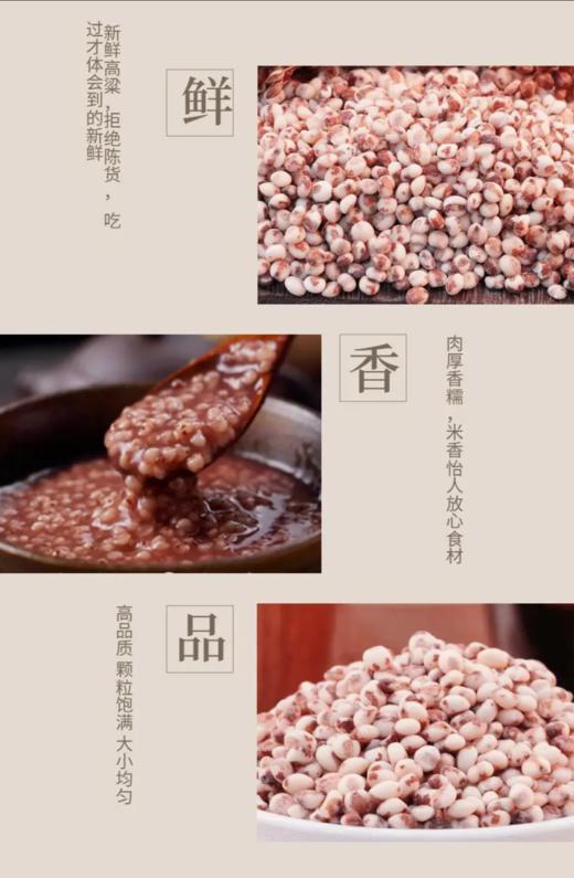 豫粮优选·五谷粮品红黏高粱米1500g 口感软糯 粘糯新米 商品图3