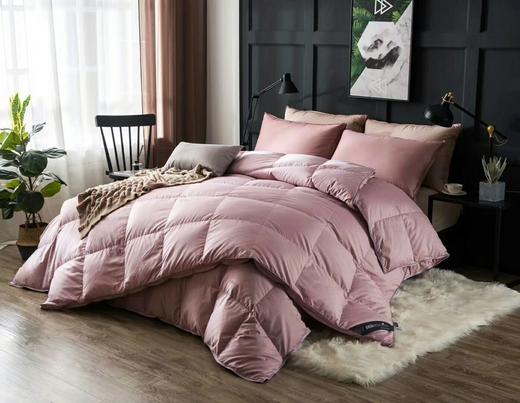 绒友臻爱四季鹅绒被子母被  商品图3