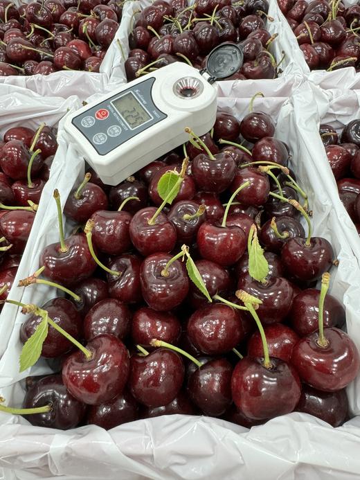 澳洲新南威尔士州红袋鼠果园车厘子 商品图2