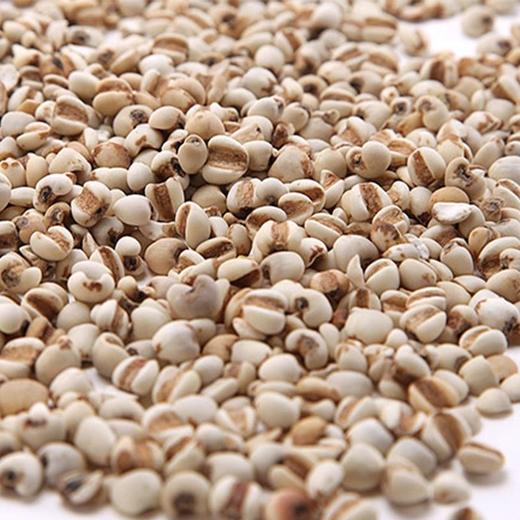 豫粮优选·五谷粮品大薏米500g  光洁饱满 碎粒少 口感柔软 商品图4