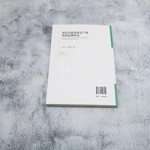 沉浸式旅游演艺产业发展趋势研究 商品图2