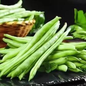 云南新鲜四季豆 高山现摘 无筋嫩荚 炒菜必备