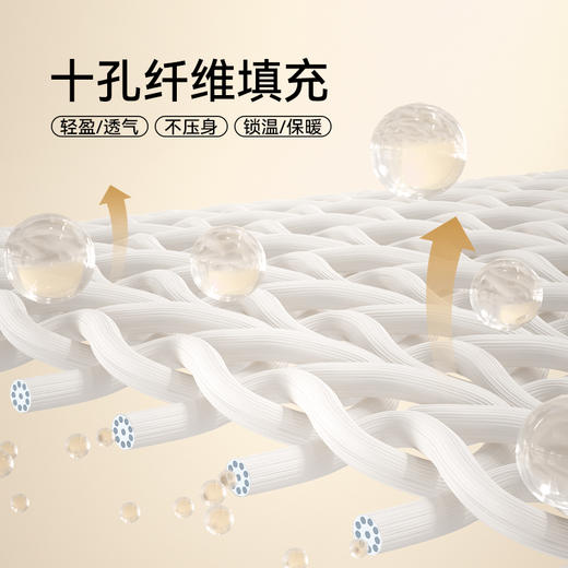 多喜爱 净棉鸿运春秋被【A类100%新疆棉面料】【十孔纤维填充更透气更保暖】 商品图2