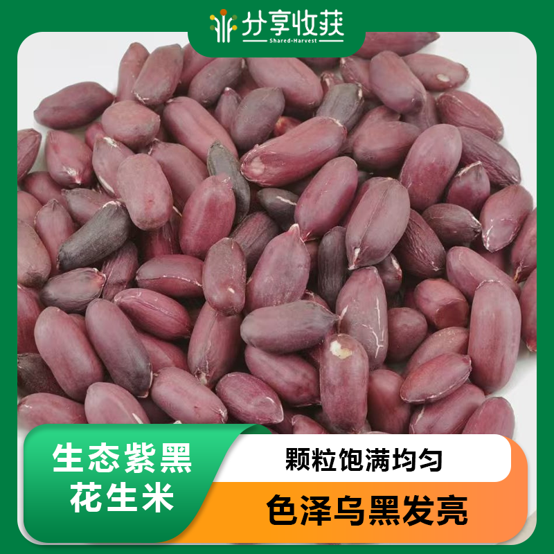 生态紫黑花生米 | 合作生产 | * Eco-friendly Purple-Black Peanut Kernels