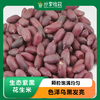 生态紫黑花生米 | 合作生产 | * Eco-friendly Purple-Black Peanut Kernels 商品缩略图0