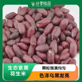 生态紫黑花生米 | 合作生产 | * Eco-friendly Purple-Black Peanut Kernels