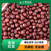生态红豆 | 老品种 | 公平贸易 * Red Beans | Fair Trade 商品缩略图0
