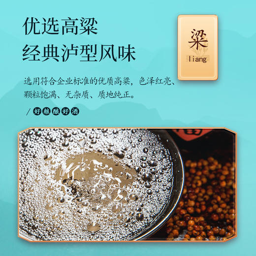 52度诗春秋风雅颂典之风（绿）500ml*6 商品图4