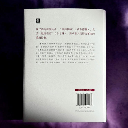 地图在动:现代诗的源流 商品图3