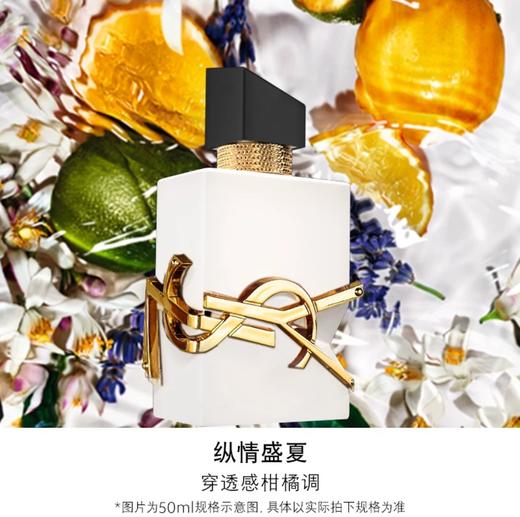 一店d （25年圣诞限定！） 新香来咯！奢金版自由之水！贵气感拉满的香水！闻起来都是贵贵的 商品图7