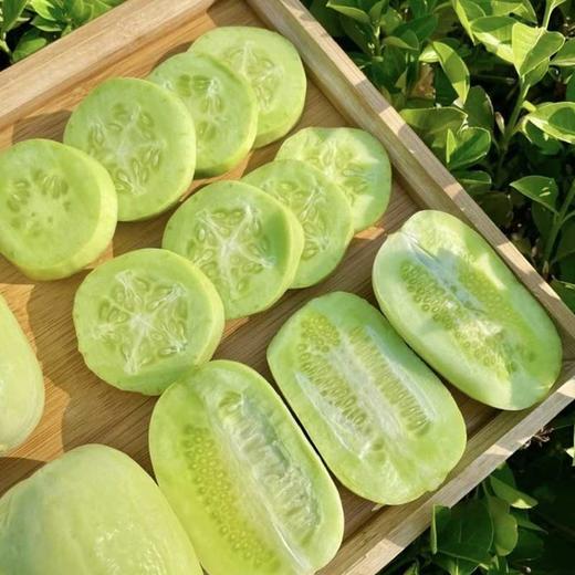 山东玉女小黄瓜 拇指大小 脆嫩清甜 新鲜现摘 商品图3