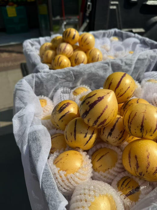 宏丰精选 七彩人参果 黄肉  水份足，口感很好，活动价9.9元一斤 商品图0