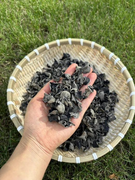 🌿【黛西农场 | 东北有机黑木耳】品质超赞❗️我妈都说好‼️ 口感超好‼️就是这么自信 👍 ✅泡发率高！🏕️一小撮就能炒一盘菜 商品图2