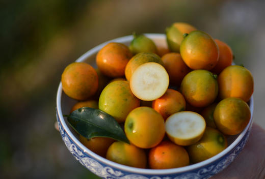 🤩 【融安滑皮金桔】央视新闻点赞提名 ，一种让你一口就爱上的水果，带皮吃，皮脆多汁，甜脆爽口🤩 ✅ 国家地标水果，不打农药不催熟【绿色认证】 商品图4