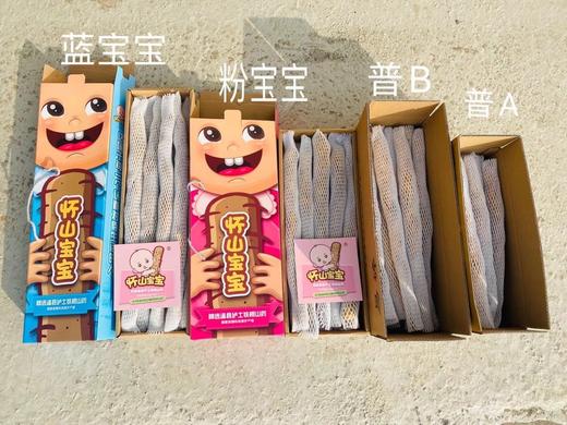 ❤怀山宝宝～正宗温县垆土地铁棍山药 怀山宝宝垆土地铁棍山药  商品图1