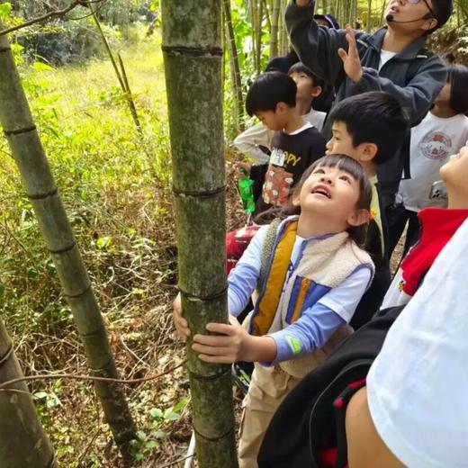 12月27日 从化·冬日野趣一日营丨挖冬笋、亲手做窑鸡、摘砂糖桔，感受冬日野趣！ 商品图2