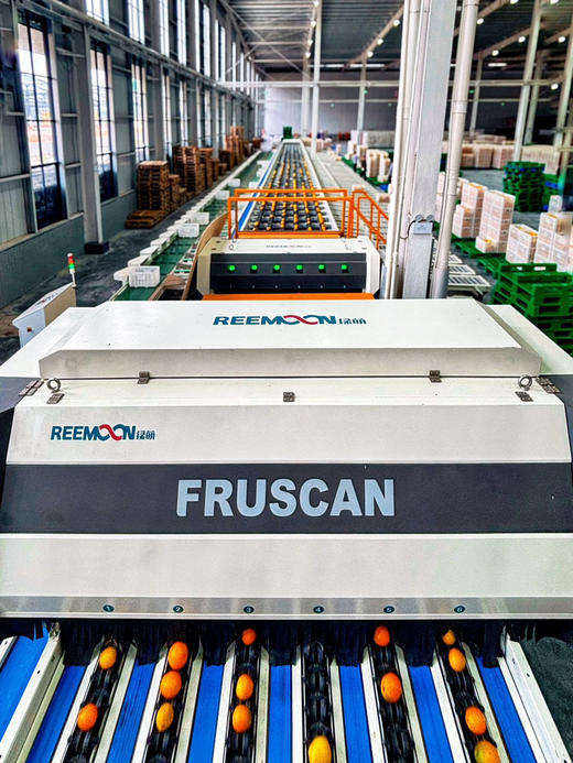 【限量秒杀】正宗赣南脐橙高山果老树脐橙 10斤/20斤装 玲珑果（带箱）德邦快递  2025年赣南脐橙协会地标证明千万级绿萌机器选果非人工盲选（因为看不到果肉里面的品质和糖酸度比） 商品图13