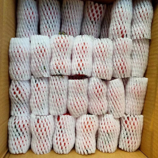 攀枝花露天甜贝贝水果小番茄 净重3-5斤 新鲜采摘 商品图9