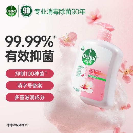 滴露抑菌洗手液滋润倍护250g 商品图1