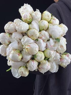 新西兰进口芍药花bowl of cream奶油碗