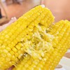 【新品上架  立减10元】延边冰鲜冷冻甜糯老品种丑玉米 共4斤（收到后冷冻保存） 商品缩略图0