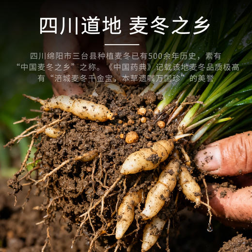 康美药业原御宝堂系列麦冬10g×20袋/盒 药食同源康美中药饮片 独立小包装 商品图2