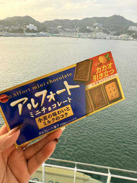 日本 布尔本burbon 帆船 巧克力 饼干（2款）