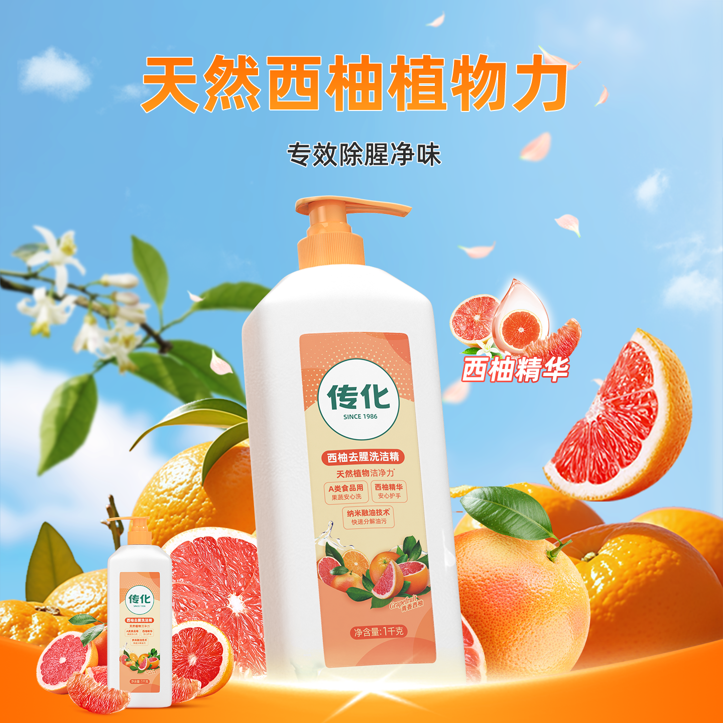 传化1kg西柚去腥洗洁精