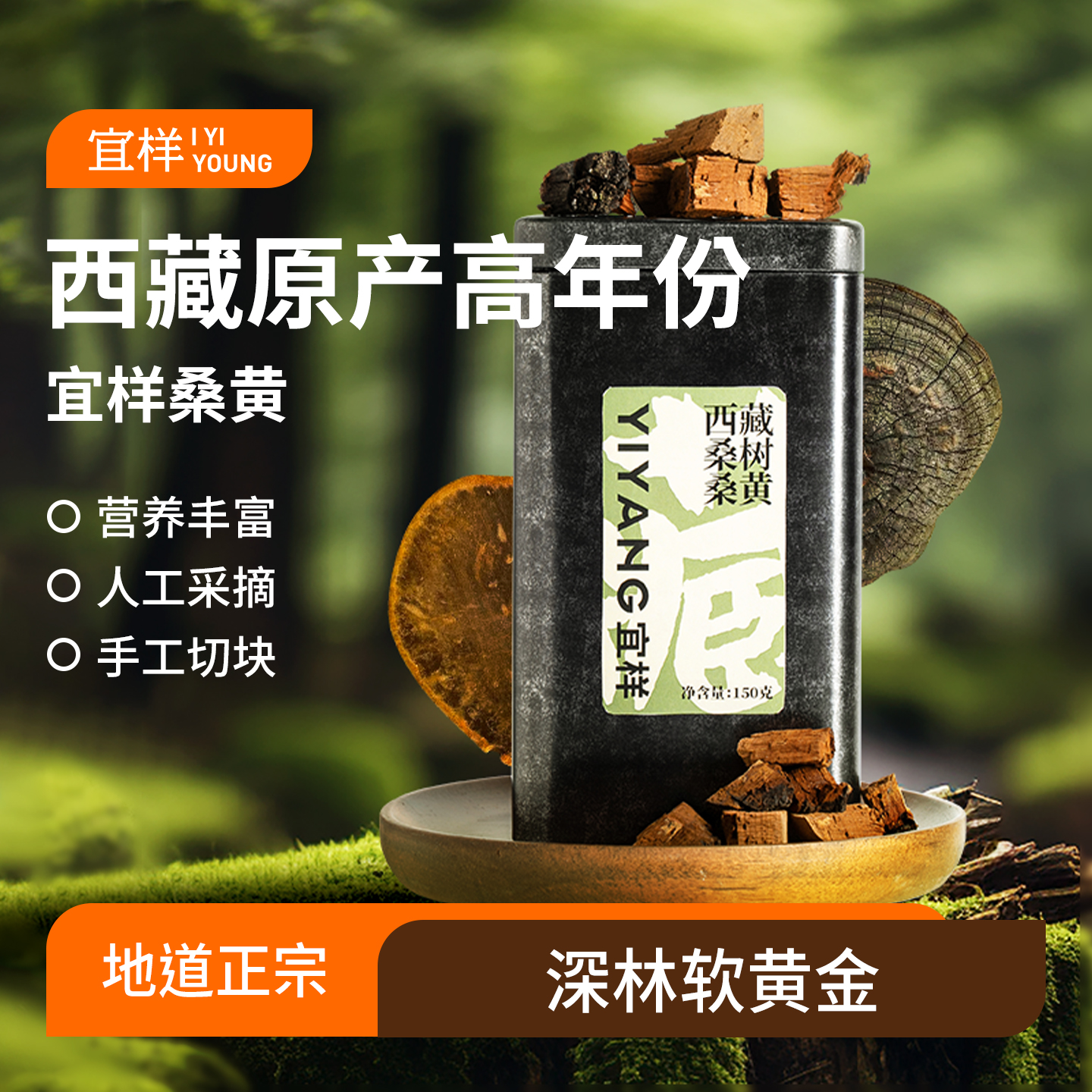 宜样 | 西藏20年以上桑黄切块150g*1盒（分仓发货代发）