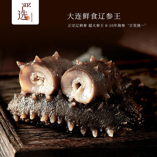 【滋补首选·大连8A鲜食辽参王】大连原产 8-10年海参 100斤出1斤 鲜食工艺 源头工厂 独立包装五折破价、史无前例(单斤到手299块8!) 商品图0