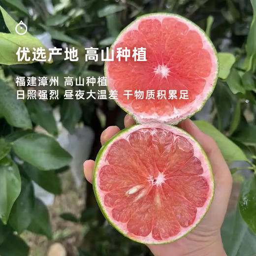 企鹅市集|福建漳州 嫩柚组合 青媛柚 / 粉宝石柚 多规格可选 爽朗清甜 果肉粉嫩 商品图4
