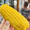 【新品上架  立减10元】延边冰鲜冷冻甜糯老品种丑玉米 共4斤（收到后冷冻保存） 商品缩略图5