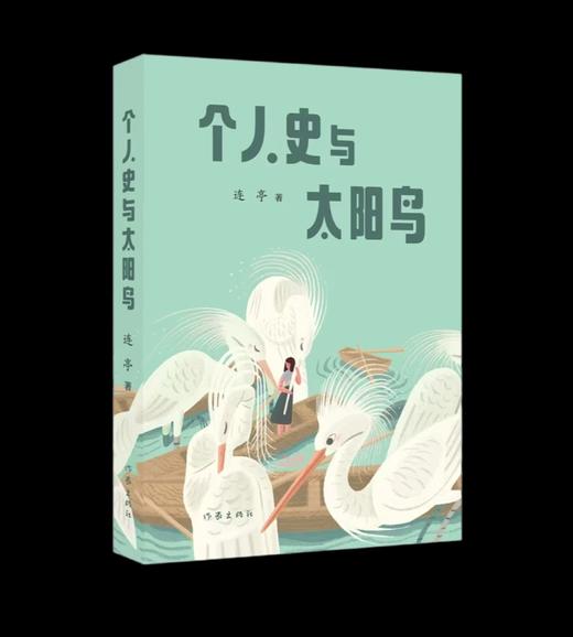 《个人史与太阳鸟》连亭散文集 商品图2