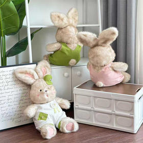 脏脏兔玩偶毛绒公仔23cm生日礼物-纪念日百货门店同款167843843