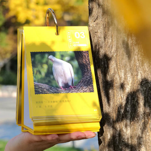 《美国国家地理·万物可爱》（2026日历） 商品图9