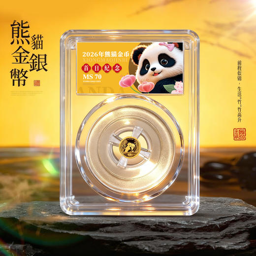 【首日纪念封装版】2026熊猫金币1克！70分！ 商品图0