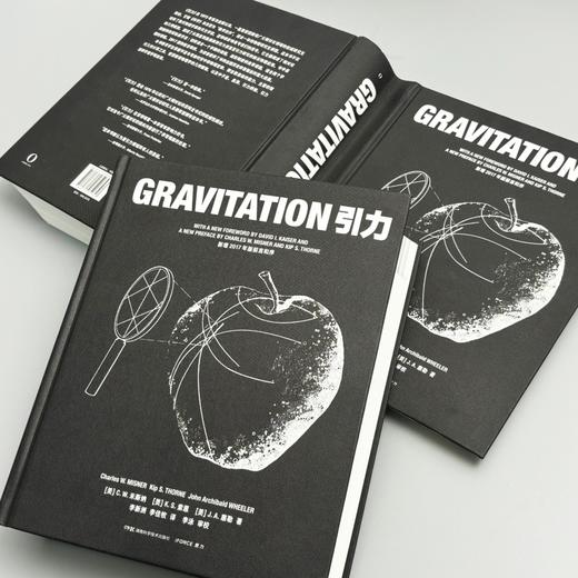 引力  读懂爱因斯坦的宇宙，从《引力》开始 一部重塑时空认知的经典巨著，诺奖得主深度推崇的广义相对论圣经 商品图2