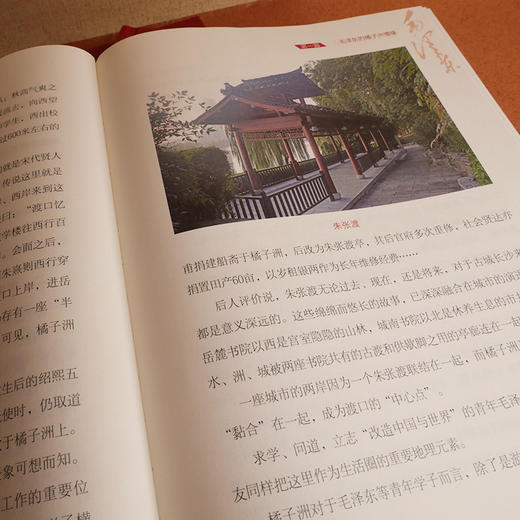 中流击水:毛泽东与橘子洲 商品图3