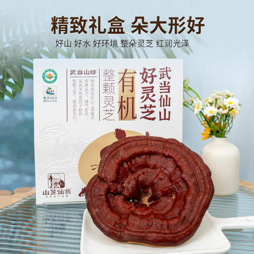 【大宅门】武当山珍 有机整颗灵芝（直径16-18CM,150g±10g/朵） 商品图2