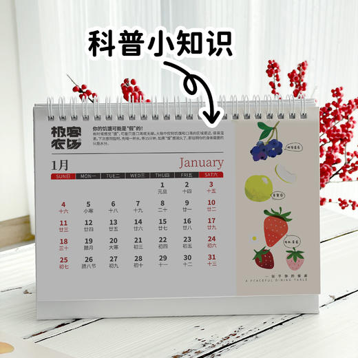 【日历伴手礼】2026年极客定制日历| 专为农场老友定制，新年日历限量首发 商品图3
